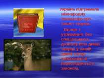 Україна підтримала міжнародну конвенцію про захист тварин. Вилов і утримання ...