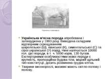 Українська м'ясна порода апробована і затверджена у 1993 році. Виведена склад...