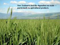 New Zealand is heavily dependent on trade — particularly in agricultural prod...