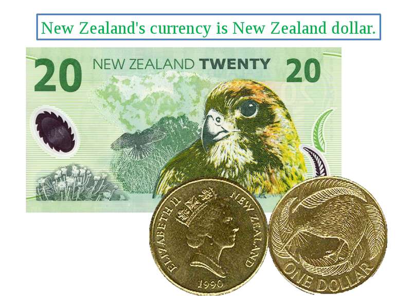 New Zealand's currency is New Zealand dollar.