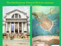 The Smithsonian Natural History museum is also worth visiting.