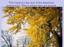 The Capitol is the seat of the American government. This is where laws are pa...