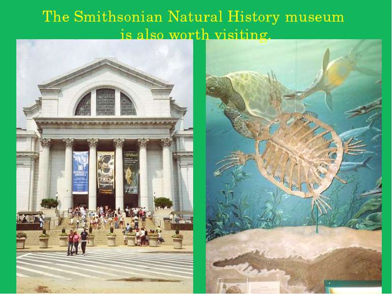 The Smithsonian Natural History museum is also worth visiting.