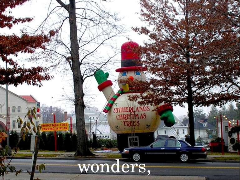 wonders,