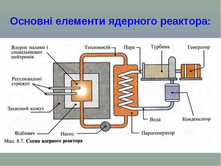Основні елементи ядерного реактора: