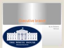 Executive branch in the USA