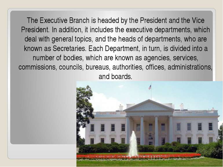 The Executive Branch is headed by the President and the Vice President. In ad...