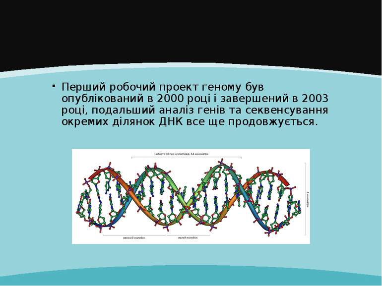 Перший робочий проект геному був опублікований в 2000 році і завершений в 200...