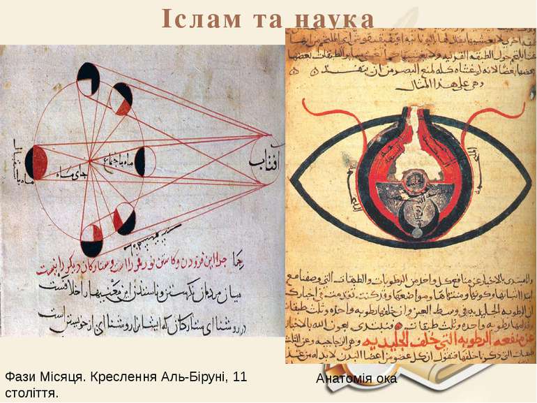 Іслам та наука Фази Місяця. Креслення Аль-Біруні, 11 століття. Анатомія ока