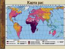 Карта рас