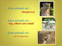Some animals are… Some animals are… Some animals are… dangerous wild and aggr...