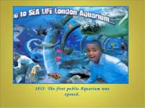 1853- The first public Aquarium was opened.