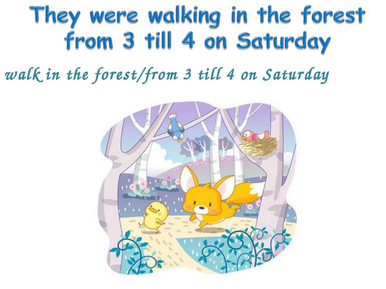walk in the forest/from 3 till 4 on Saturday