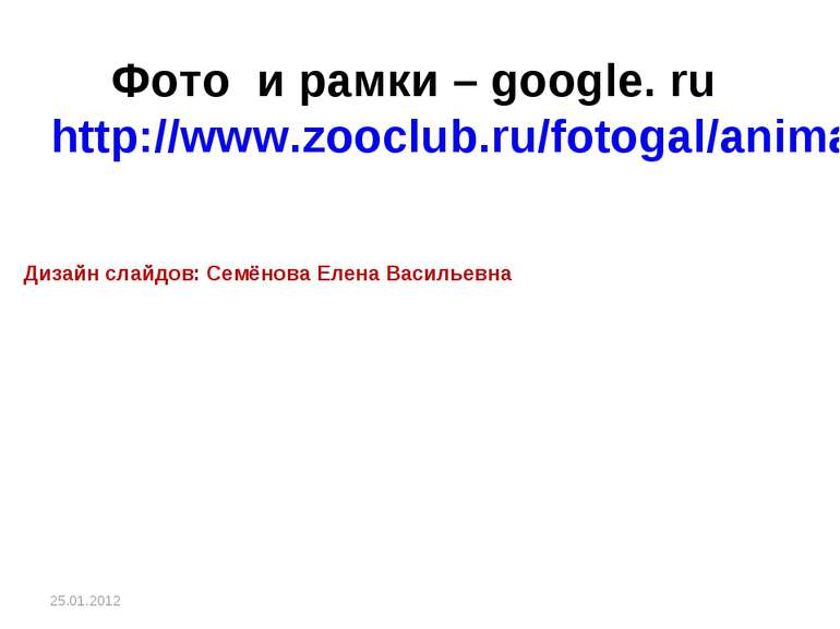 Фото и рамки – google. ru http://www.zooclub.ru/fotogal/anima/birds13.shtml Д...