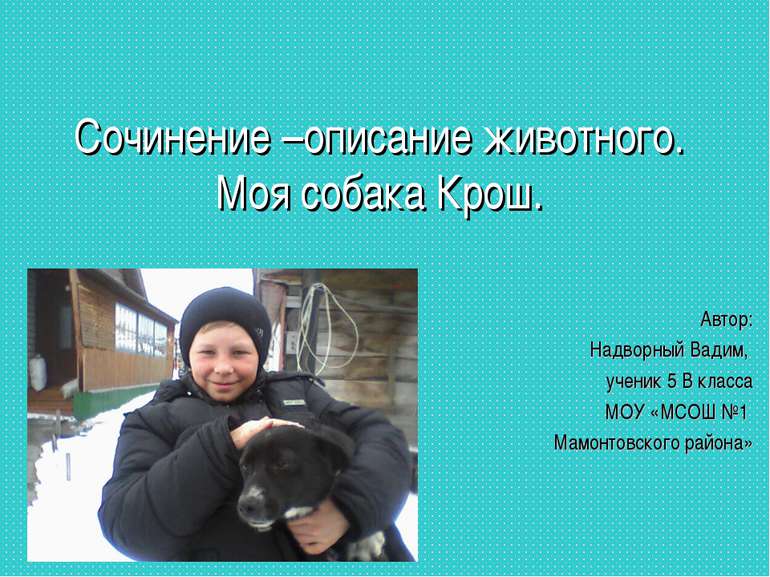 Сочинение –описание животного. Моя собака Крош. Автор: Надворный Вадим, учени...