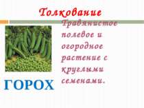 Толкование ГОРОХ Травянистое полевое и огородное растение с круглыми семенами.