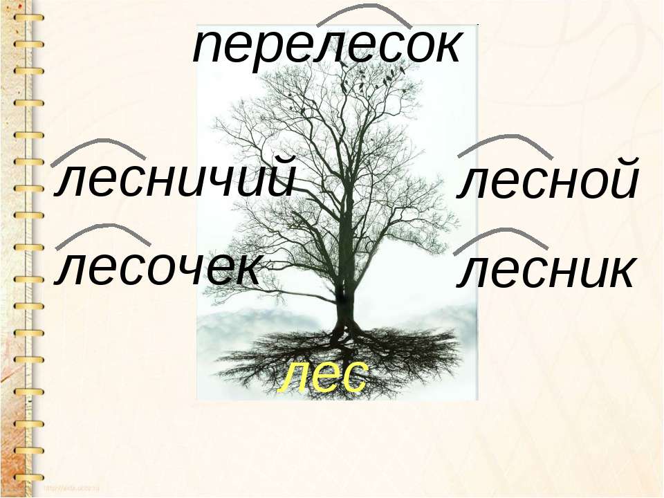 Однокоренное слово лес. Дерево с однокоренными словами лес. Словесное дерево с корнем лес. Слова с корнем лес. Дерево корней русский язык.