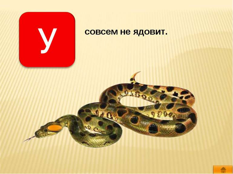 совсем не ядовит.