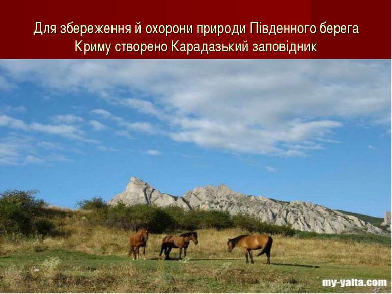 Для збереження й охорони природи Південного берега Криму створено Карадазький...
