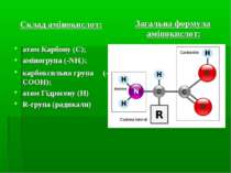 Склад амінокислот: атом Карбону (C); аміногрупа (-NH2); карбоксильна група (-...