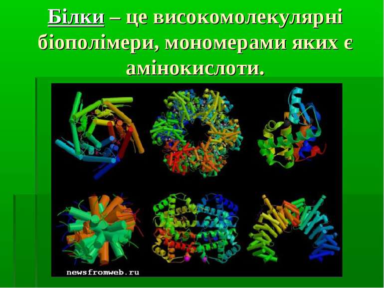 Білки – це високомолекулярні біополімери, мономерами яких є амінокислоти.