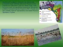 Дунайський біосферний заповідник має перспективу розширення на всі найбільш ц...