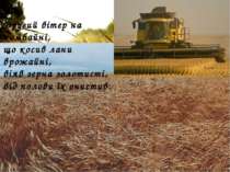 Другий вітер на комбайні, що косив лани врожайні, віяв зерна золотисті, від п...