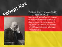 Ро берт Кох (11 грудня 1843 — †27 травня 1910) — німецький мікробіолог, один ...