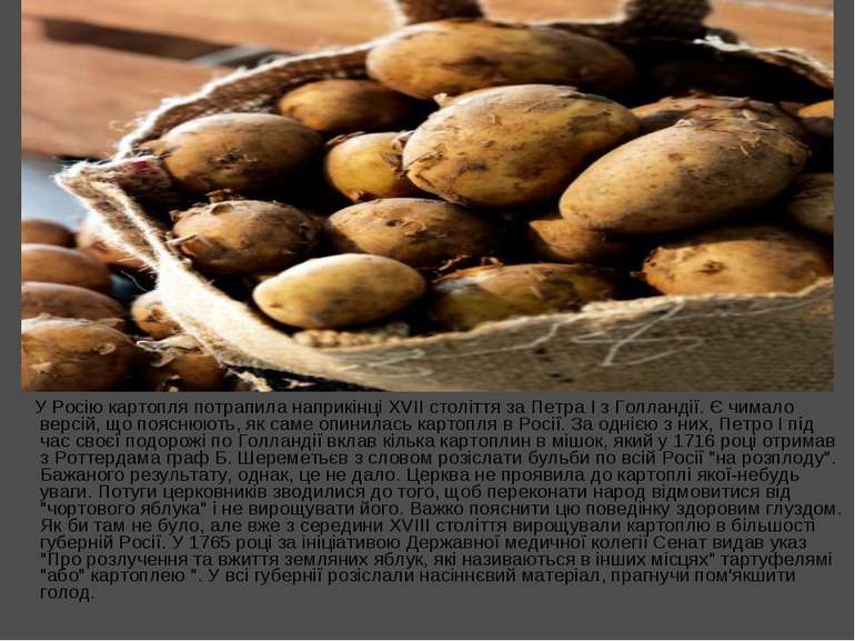 У Росію картопля потрапила наприкінці XVII століття за Петра I з Голландії. Є...