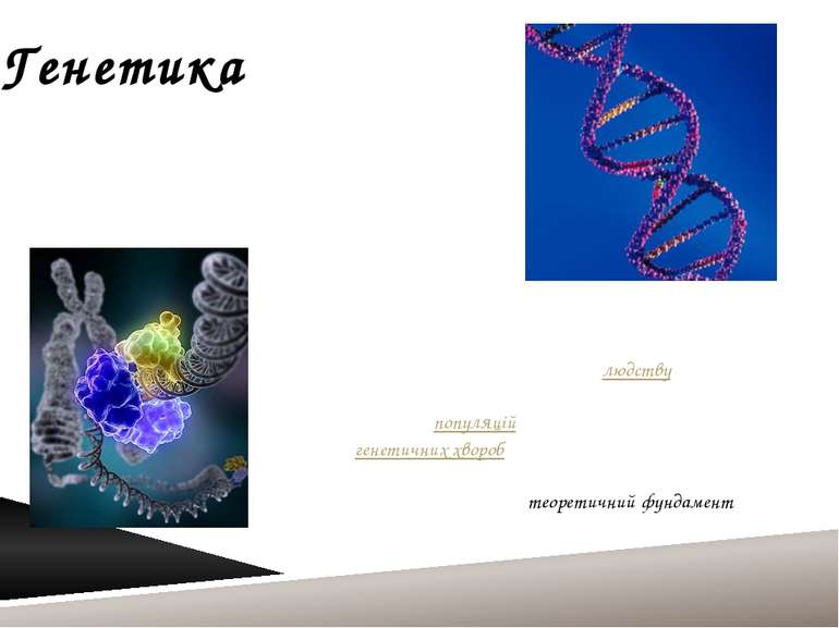Генетика Гене тика  — це наука про гени, спадковість та варіативність організ...