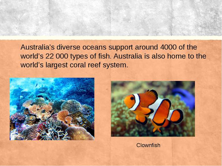 Australia’s diverse oceans support around 4000 of the world’s 22 000 types of...