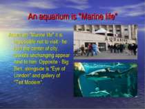An aquarium is "Marine life" Aquarium "Marine life" it is impossible not to v...