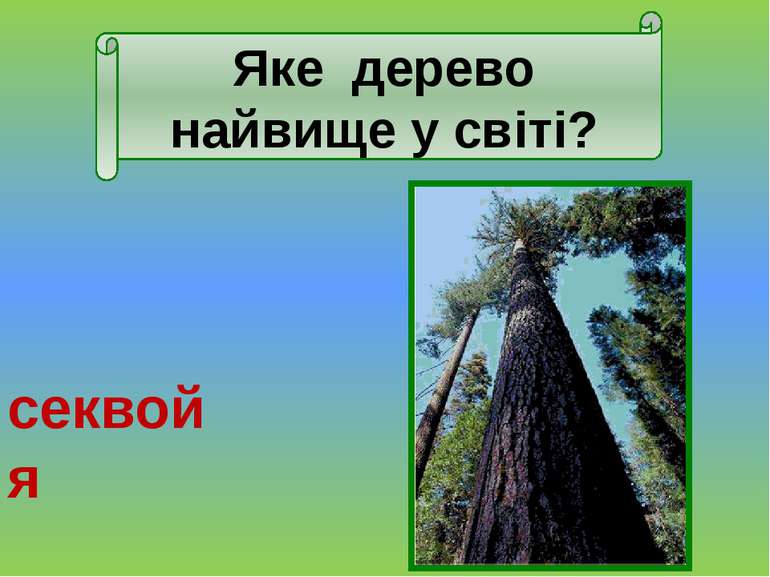 Яка рослина України найсолодша? цукровий буряк