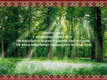 Любіть ліси і дбайливо оберігайте. Не вирубуйте жодного дерева без потреби. Н...