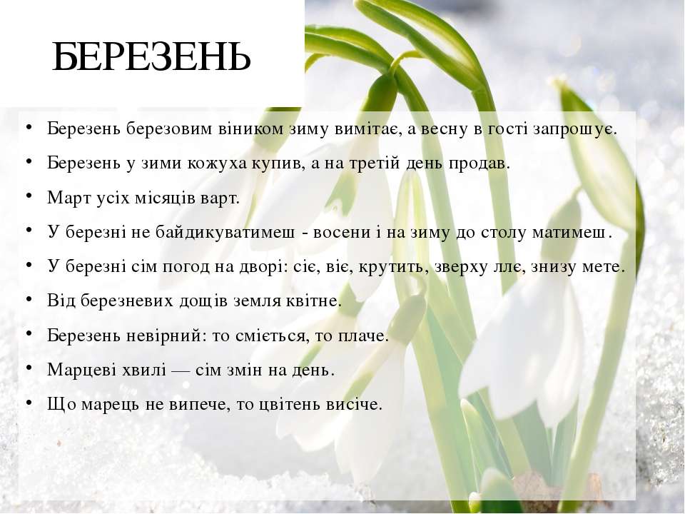 Март на укр. Прикмети березня. Март березень. Поговорки о весне. Поговорки о весне на украинском языке.