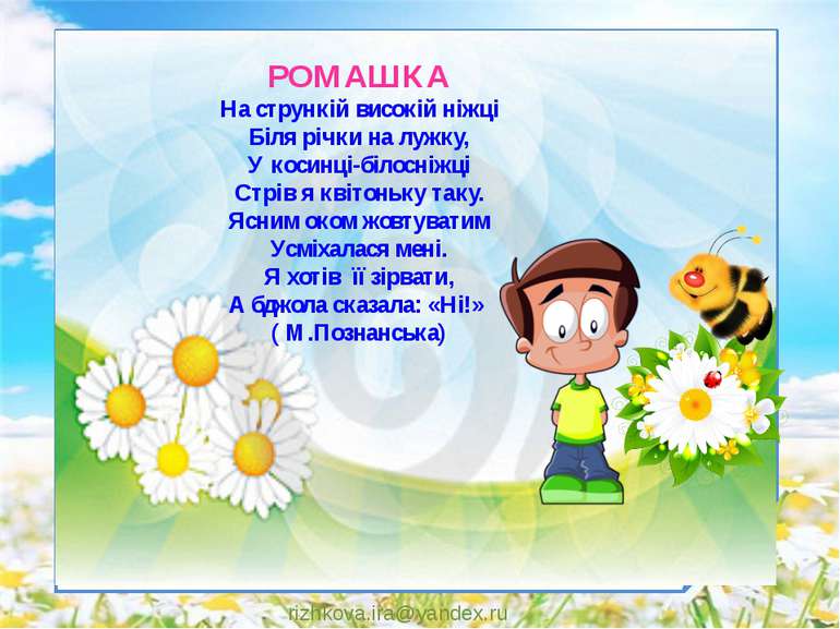 rizhkova.ira@yandex.ru РОМАШКА На стрункій високій ніжці Біля річки на лужку,...