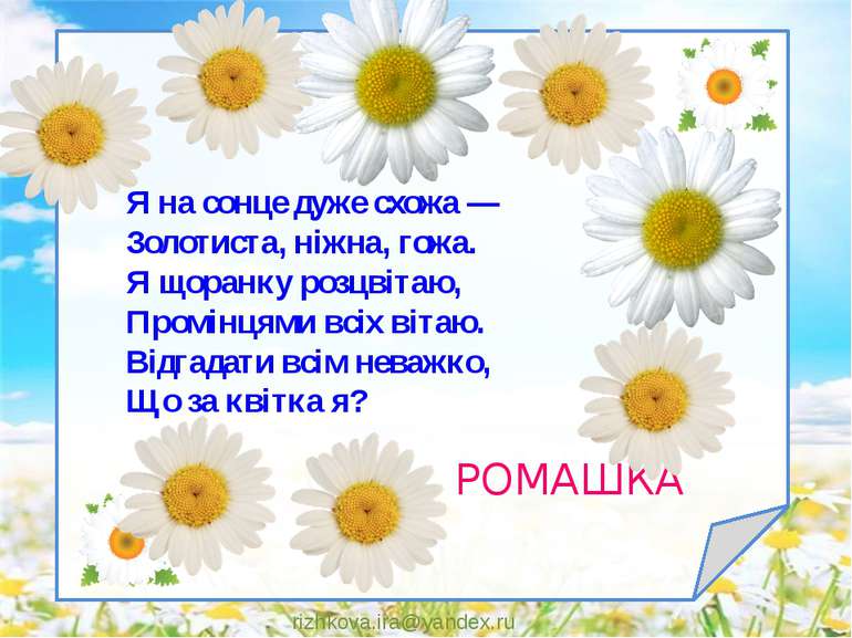 rizhkova.ira@yandex.ru Я на сонце дуже схожа — Золотиста, ніжна, гожа. Я щора...