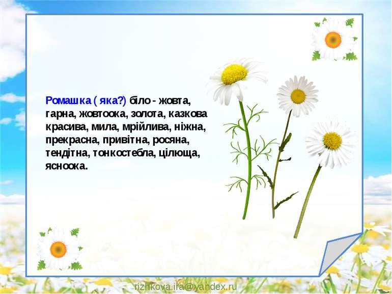 rizhkova.ira@yandex.ru Ромашка ( яка?) біло - жовта, гарна, жовтоока, золота,...