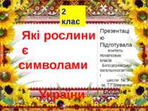 Які рослини є символами України