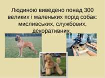 Людиною виведено понад 300 великих і маленьких порід собак: мисливських, служ...