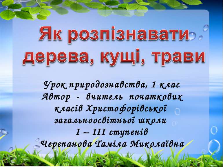 Урок природознавства, 1 клас Автор - вчитель початкових класів Христофорівськ...