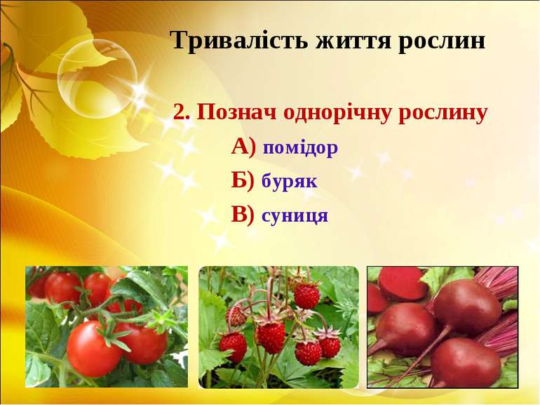 Тривалість життя рослин 2. Познач однорічну рослину А) помідор Б) буряк В) су...