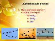 Життя птахів восени Що є причиною відльоту птахів у теплі краї? А) голод Б) х...