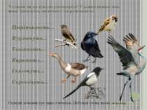 Чи знаєш ти, що пташки розмовляють? У кожної пташки своя мова. Здогадайся, як...