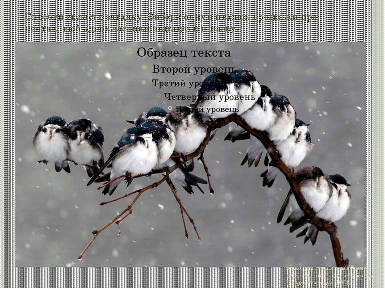 Спробуй скласти загадку. Вибери одну з пташок і розкажи про неї так, щоб одно...