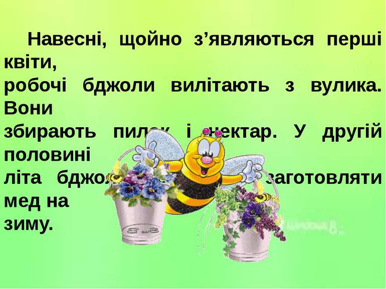 Навесні, щойно з’являються перші квіти, робочі бджоли вилітають з вулика. Вон...