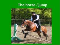 The horse / jump