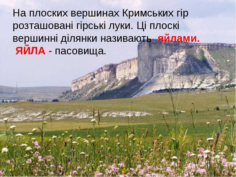 На плоских вершинах Кримських гір розташовані гірські луки. Ці плоскі вершинн...