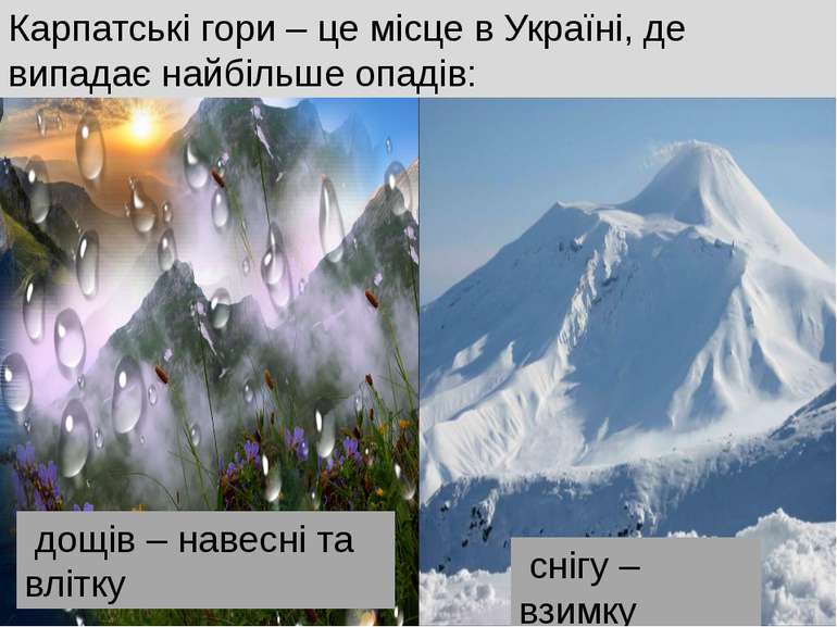 Карпатські гори – це місце в Україні, де випадає найбільше опадів: дощів – на...