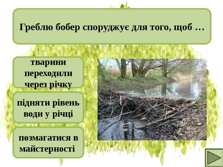 тварини переходили через річку підняти рівень води у річці позмагатися в майс...